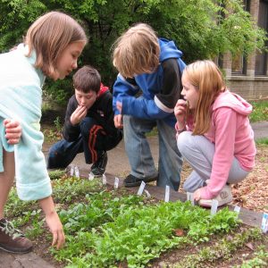 Children-eating-salad