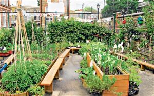Raised beds